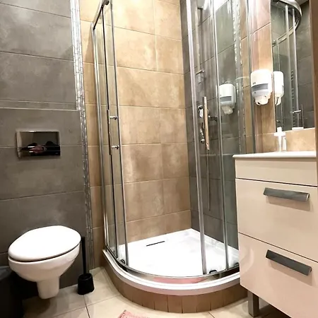 Przestronne W Centrum *